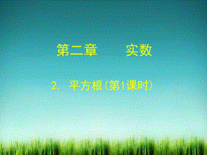 《平方根(第1课时)》课件-2022年北师大版数学八年级1.ppt