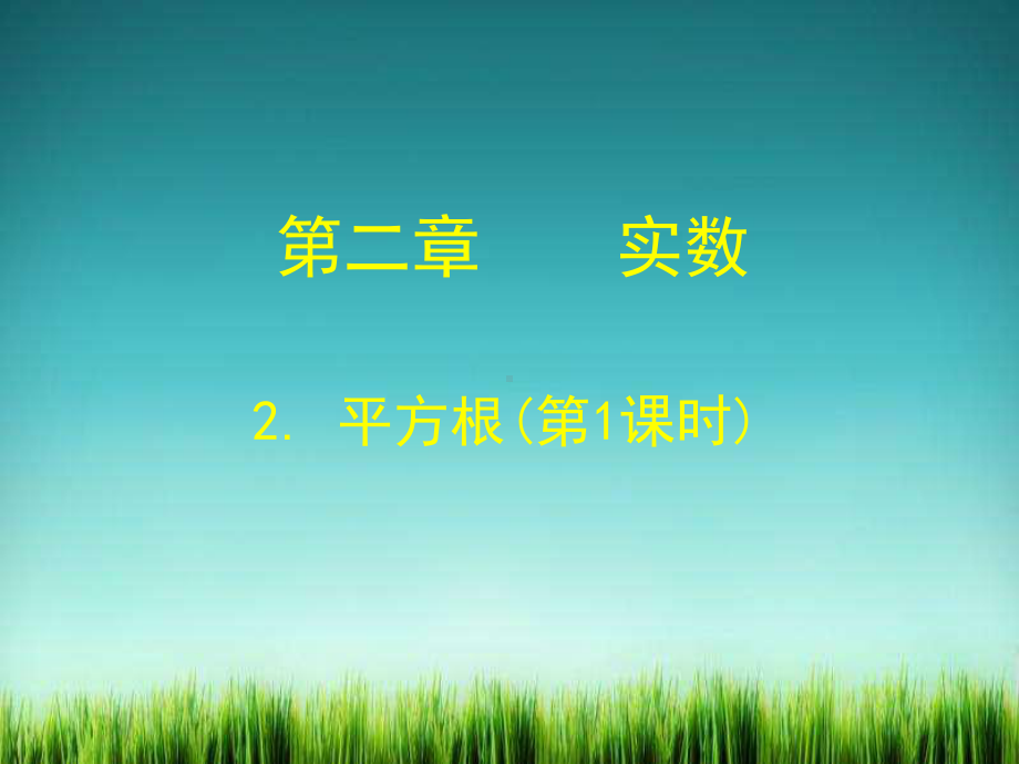 《平方根(第1课时)》课件-2022年北师大版数学八年级1.ppt_第1页