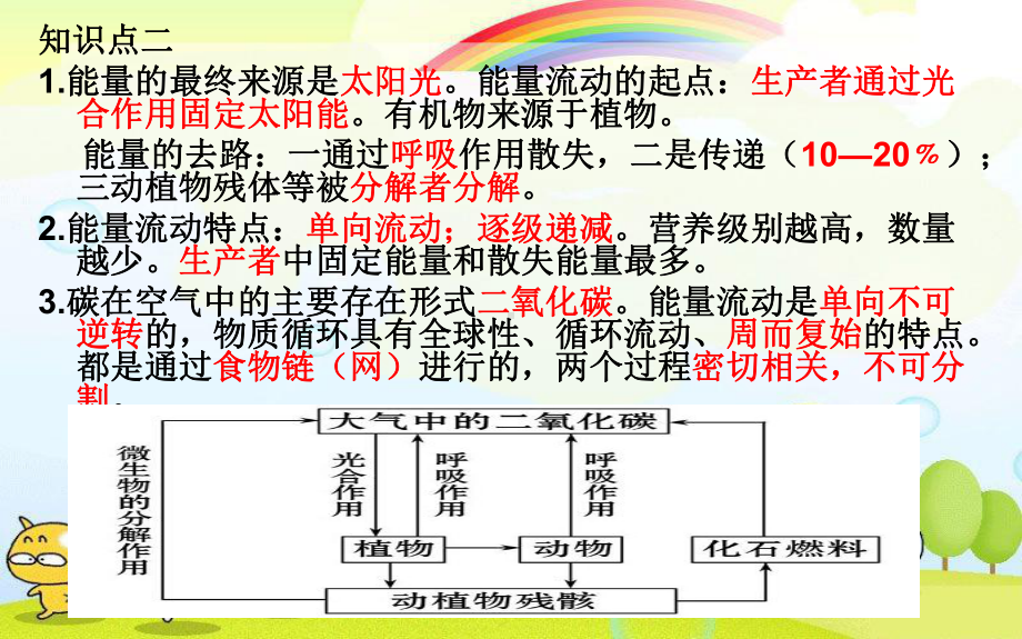 2022年济南初中生物八下《生态系统》公开课课件2.ppt_第3页