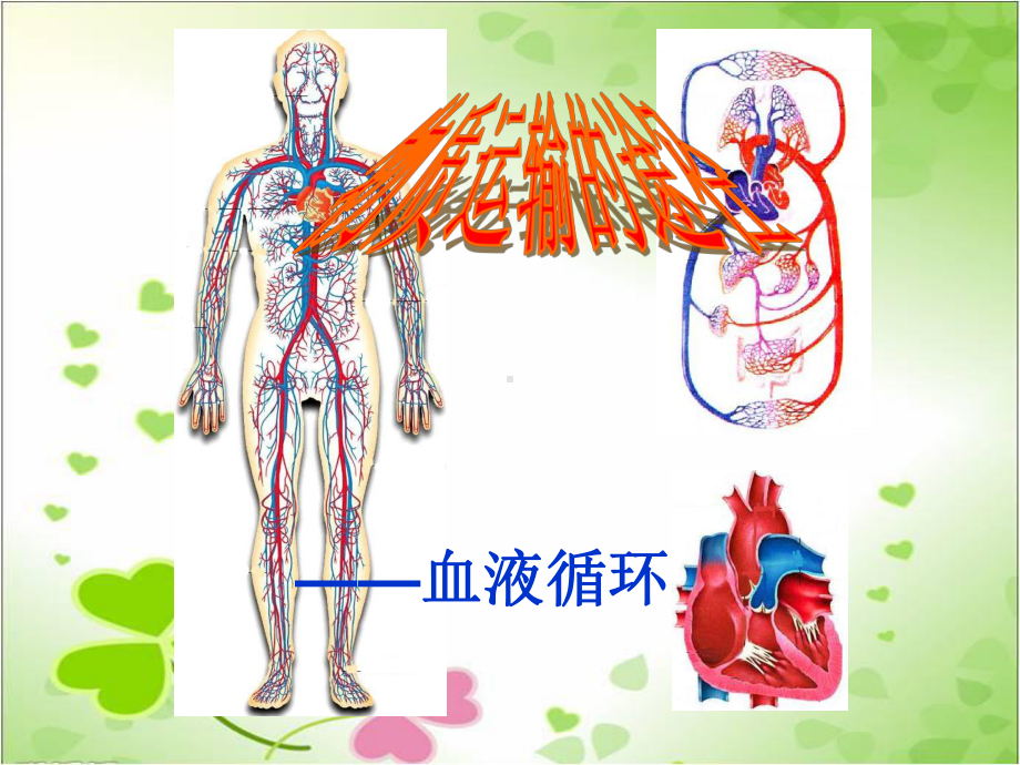 2022年济南初中生物七下《物质运输的途径》公开课课件.ppt_第1页