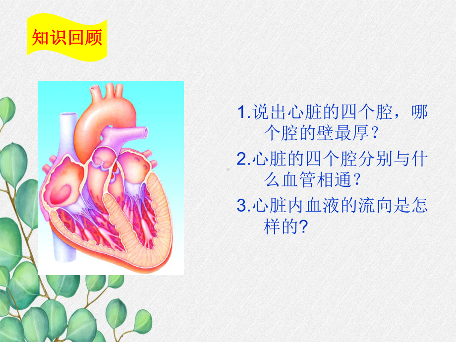 2022年济南初中生物七下《物质运输的途径》公开课课件.ppt_第2页