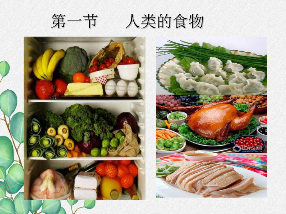 《人类的食物》课件-(优秀课获奖)2022年北师大版-4.ppt_第3页