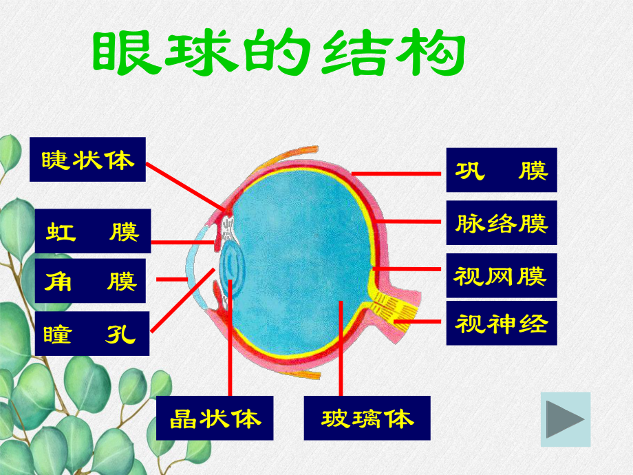 2022年冀教初中生物七下《合理用脑高效学习》公开课课件.ppt_第2页