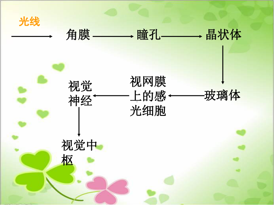 2022年冀教初中生物七下《合理用脑高效学习》公开课课件.ppt_第3页