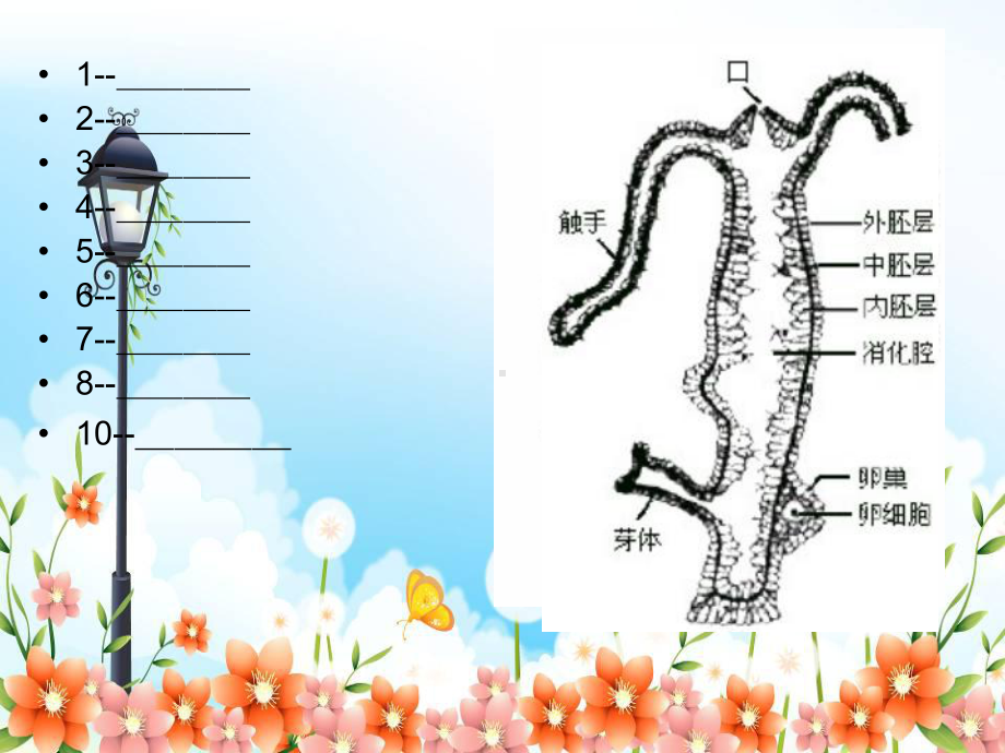 2022年北师大初中生物八年级下册《动物的主要类群》公开课课件7.ppt_第3页