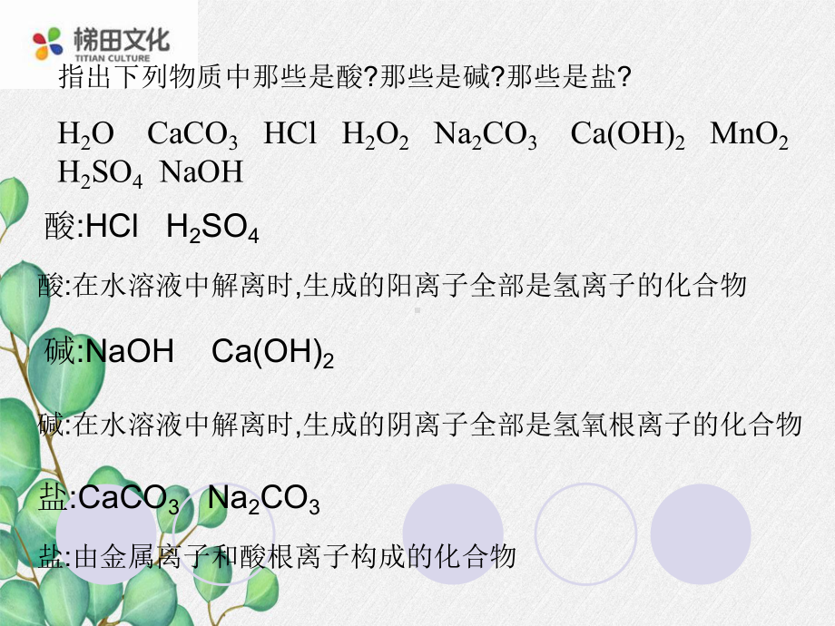 《常见的盐》课件-(市优)2022年九年级化学课件.ppt_第2页