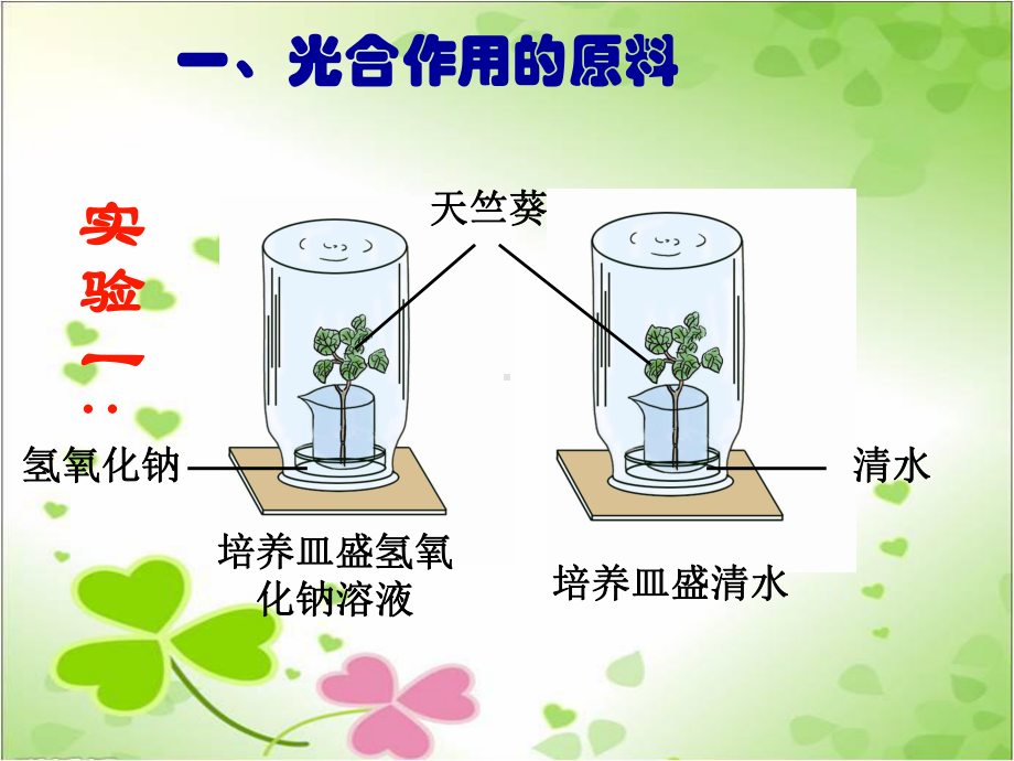 2022年冀教初中生物八上《光合作用的原料》公开课课件5.ppt_第2页