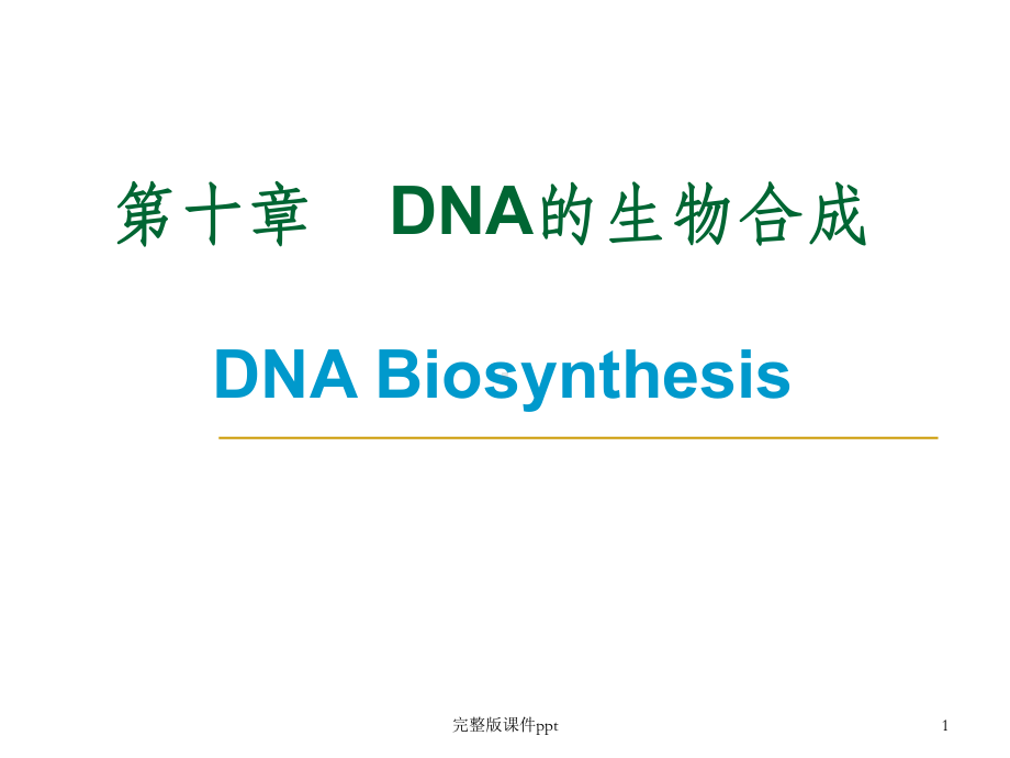 《DNA的生物合成》课件-2.ppt_第1页