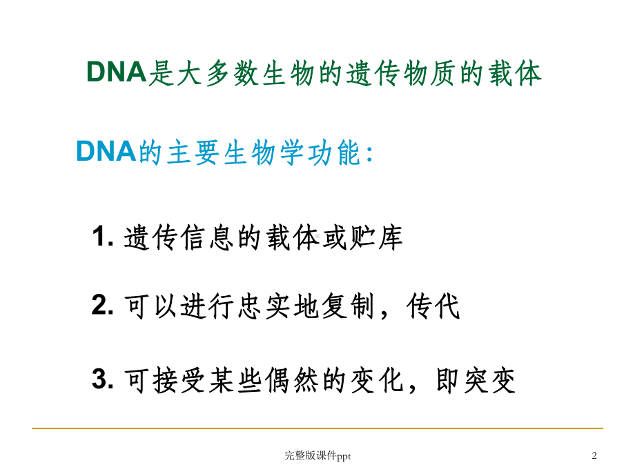 《DNA的生物合成》课件-2.ppt_第2页