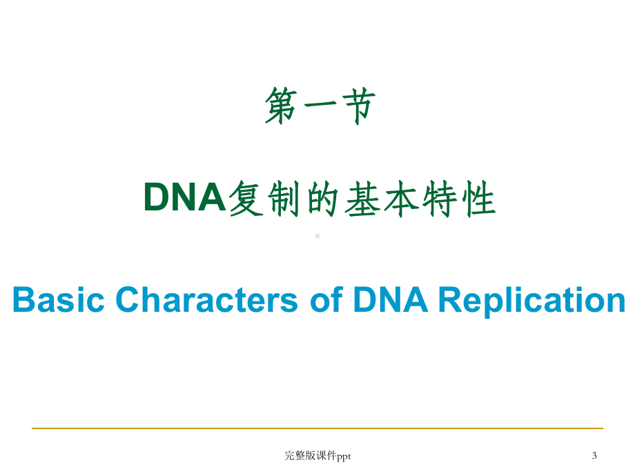 《DNA的生物合成》课件-2.ppt_第3页