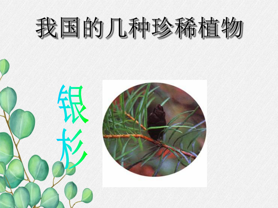 2022年冀教初中生物七上《形形色色的植物》公开课课件2.ppt_第2页