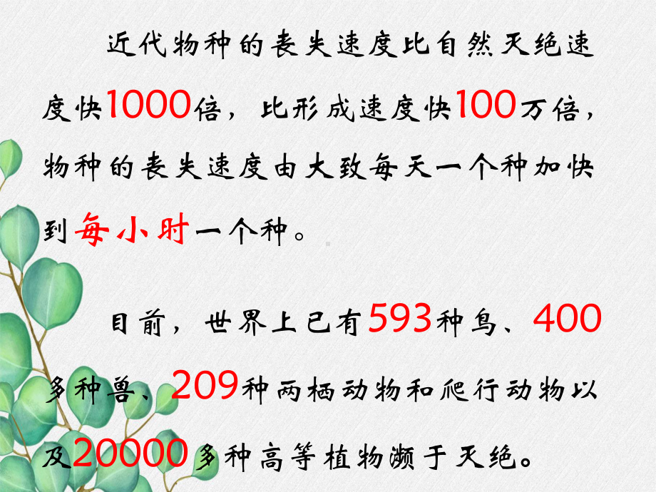 2022年北师大初中生物八年级上册《动物在生物圈中的作用》公开课课件8.ppt_第1页