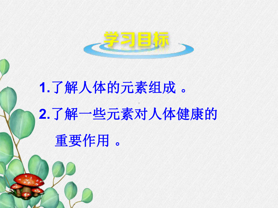 《化学元素与人体健康》课件(公开课)2022年人教版-9.ppt_第2页