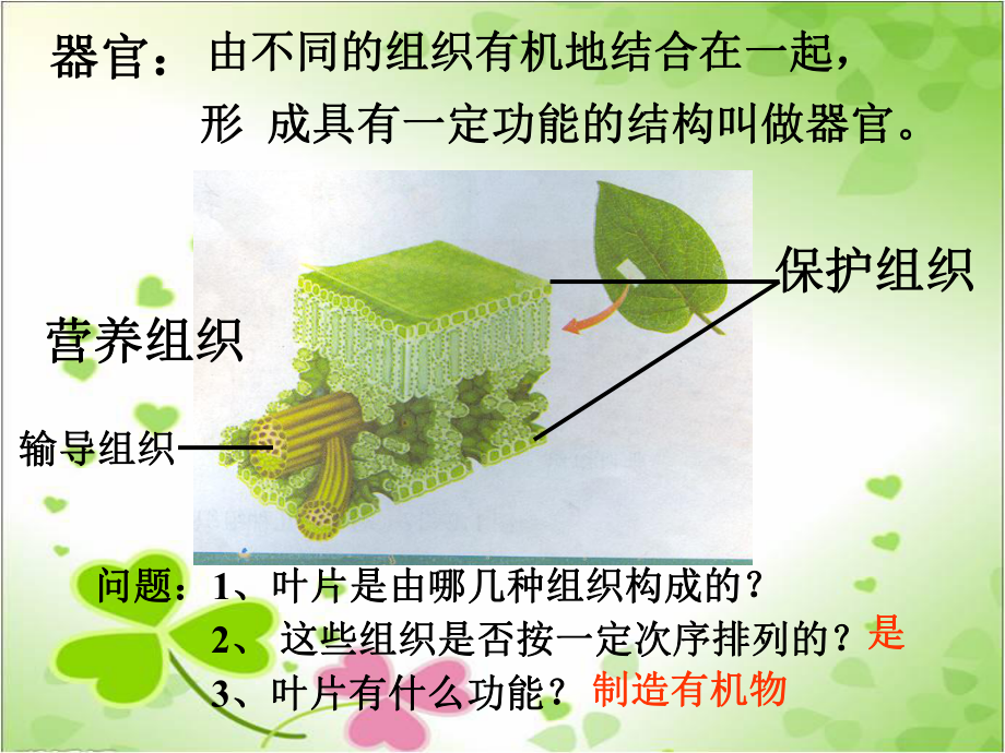 2022年济南初中生物七上《多细胞生物体的结构层次》公开课课件4.ppt_第1页