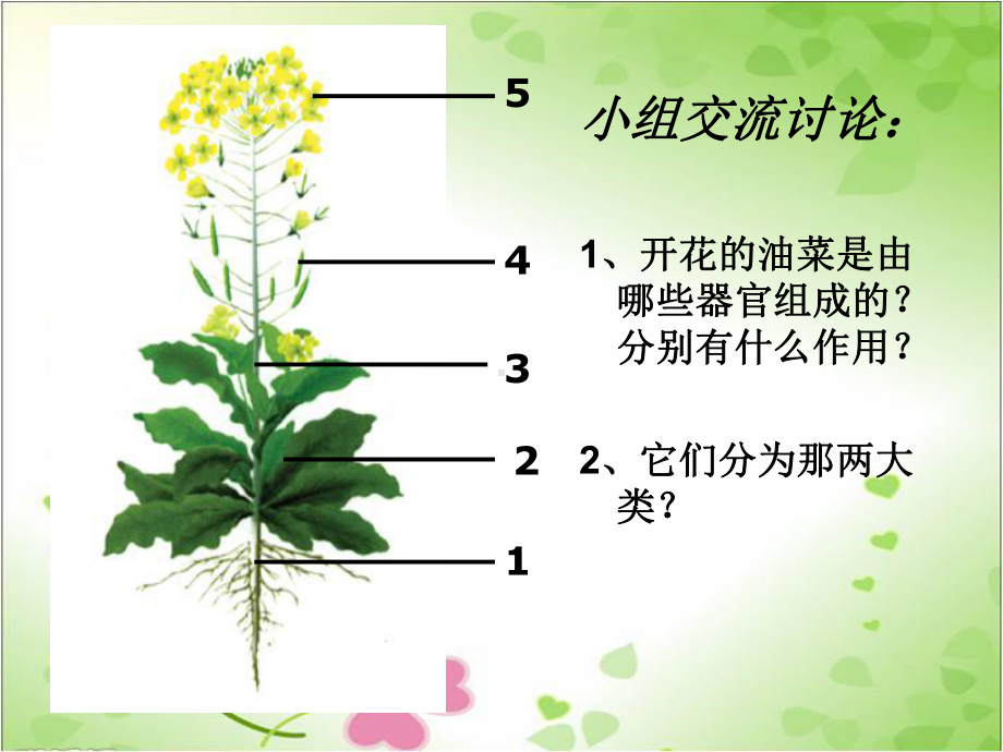 2022年济南初中生物七上《多细胞生物体的结构层次》公开课课件4.ppt_第2页