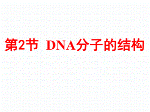 《DNA分子的结构》人教版高中生物教学课件1.pptx