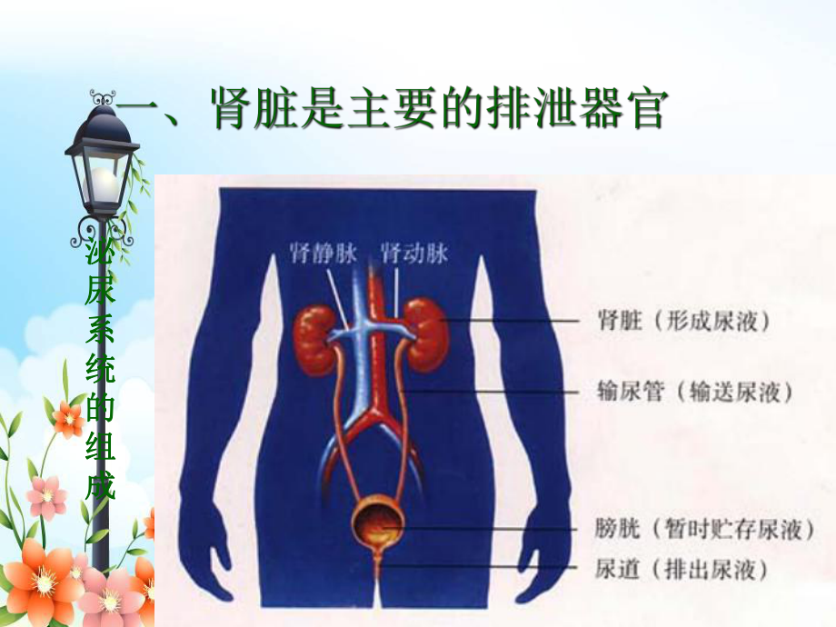 2022年冀教初中生物七下《排泄》公开课课件.ppt_第3页