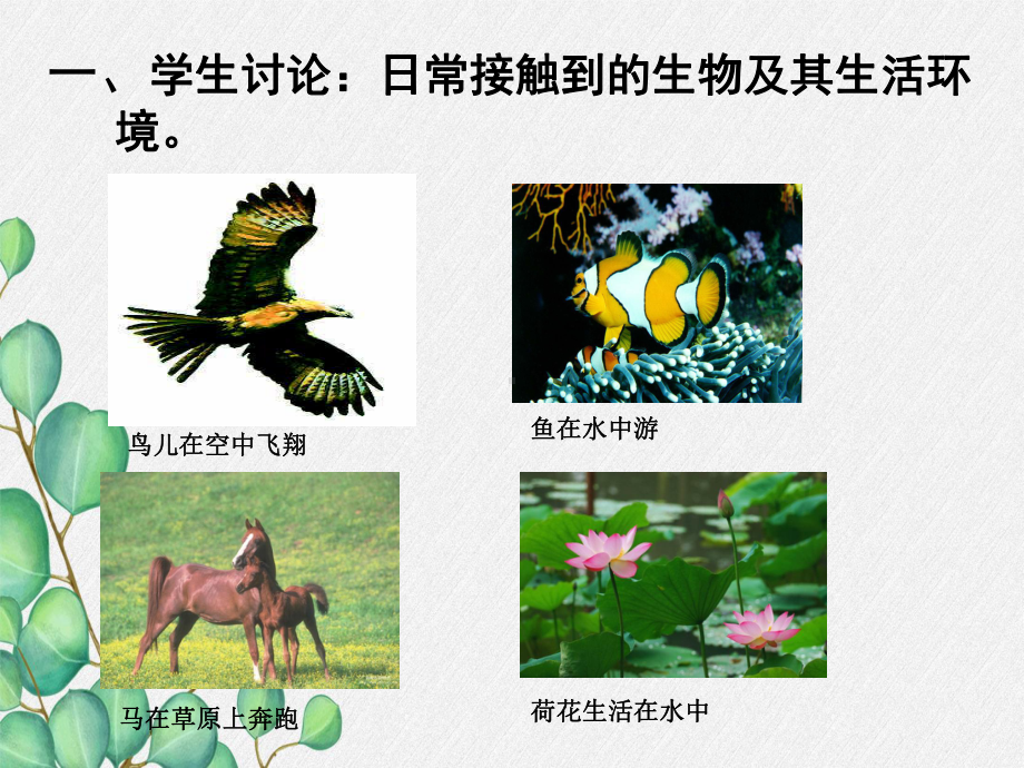 2022年北师大初中生物七年级上册《形形色色的生物》公开课课件9.ppt_第2页