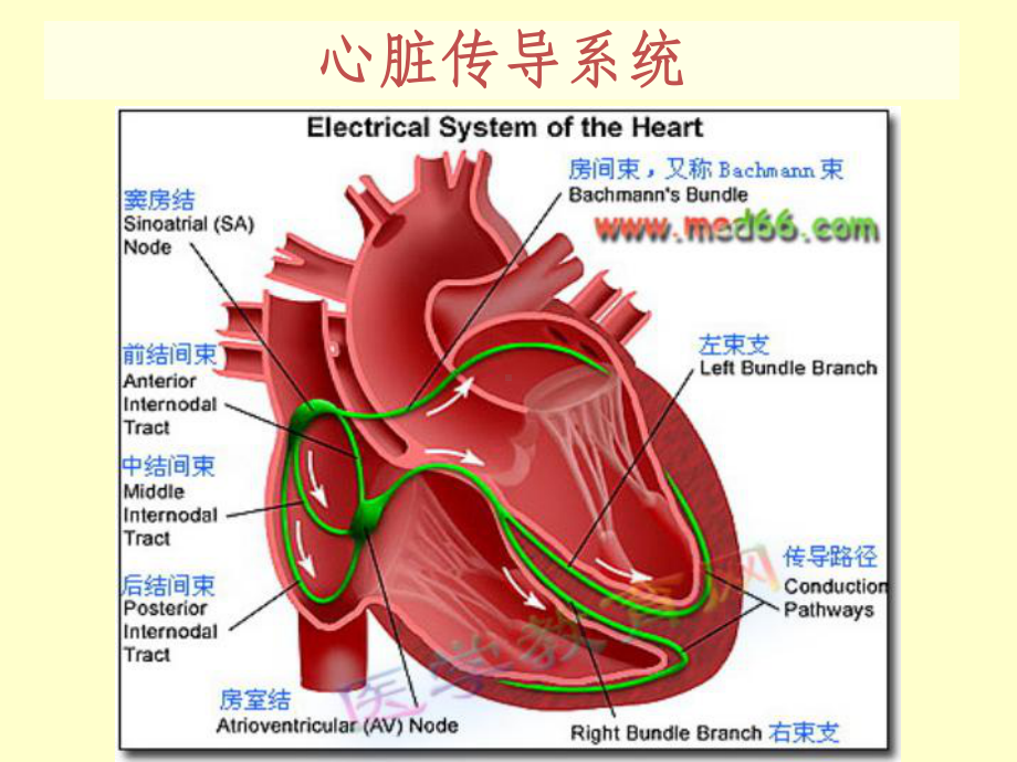 《射频消融术的护理》课件.ppt_第3页