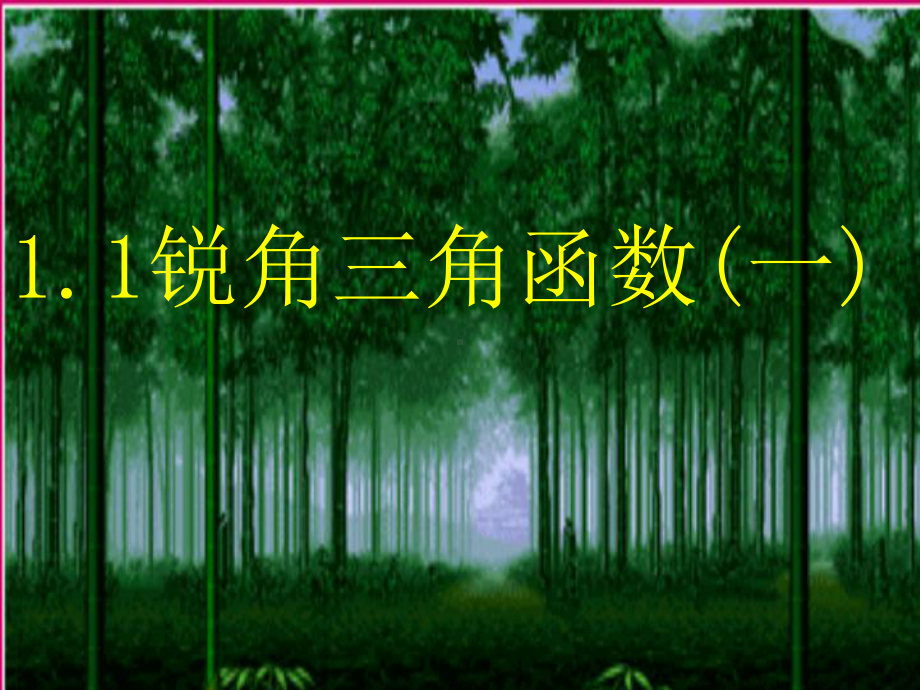 2022年浙教初中数学九下《锐角三角函数》课件19.ppt_第1页