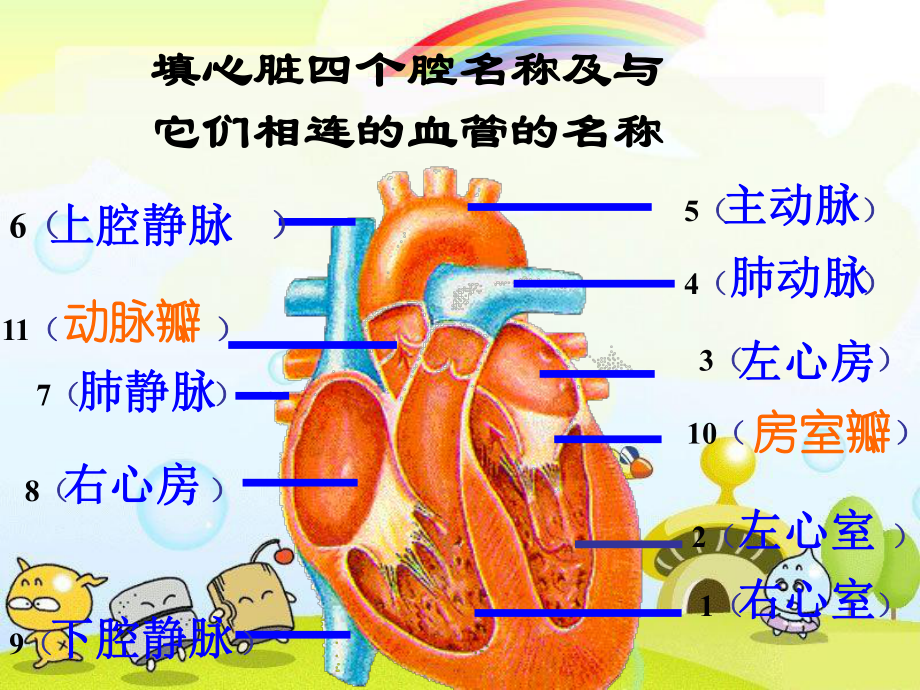 2022年济南初中生物七下《物质运输的途径》公开课课件5.ppt_第1页