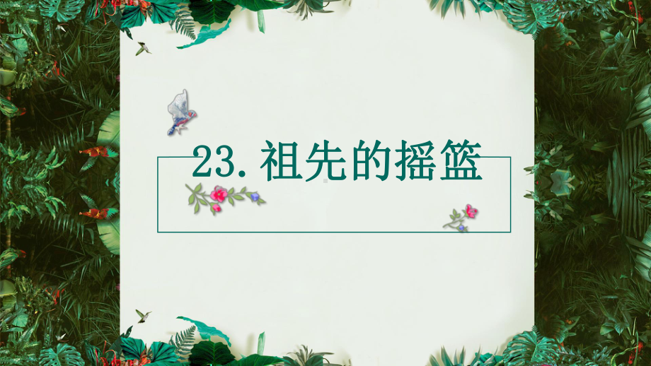 [2020年春]新部编人教版二年级语文-下册(课堂教学课件)23-祖先的摇篮.ppt_第1页