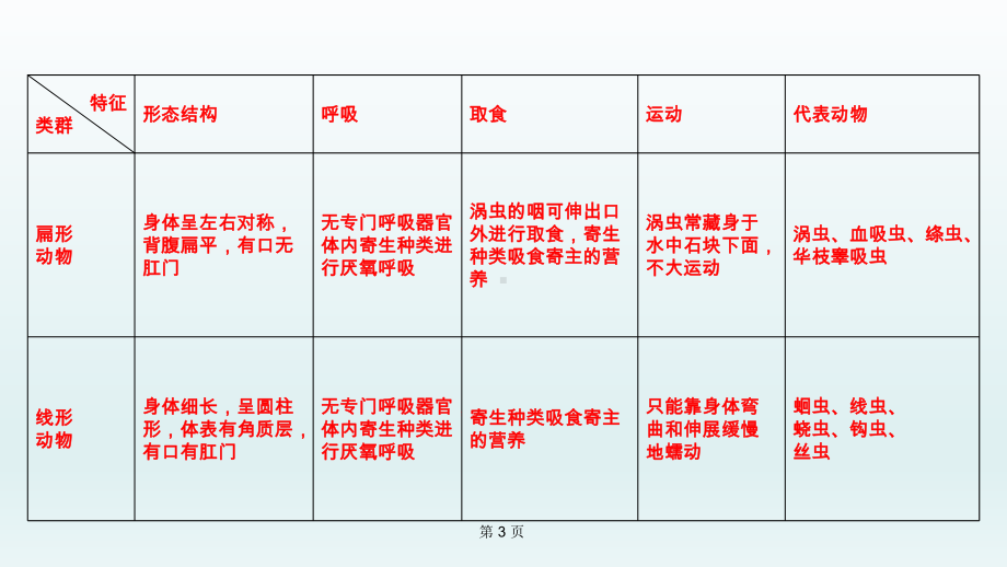 《动物的主要类群》中考复习生物课件.ppt_第3页