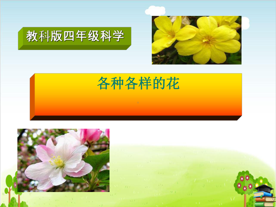 《各种各样的花》课件｜教科版1.ppt_第1页