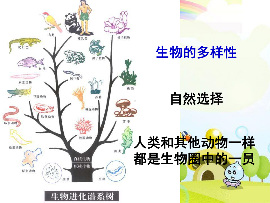 2022年北师大初中生物八年级下册《人类的起源与进化》公开课课件9.ppt_第1页