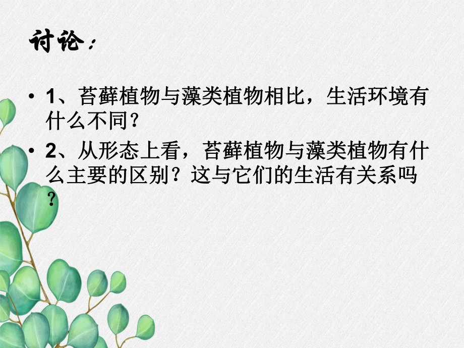 2022年冀教初中生物七上《苔藓植物与蕨类植物》公开课课件2.ppt_第1页