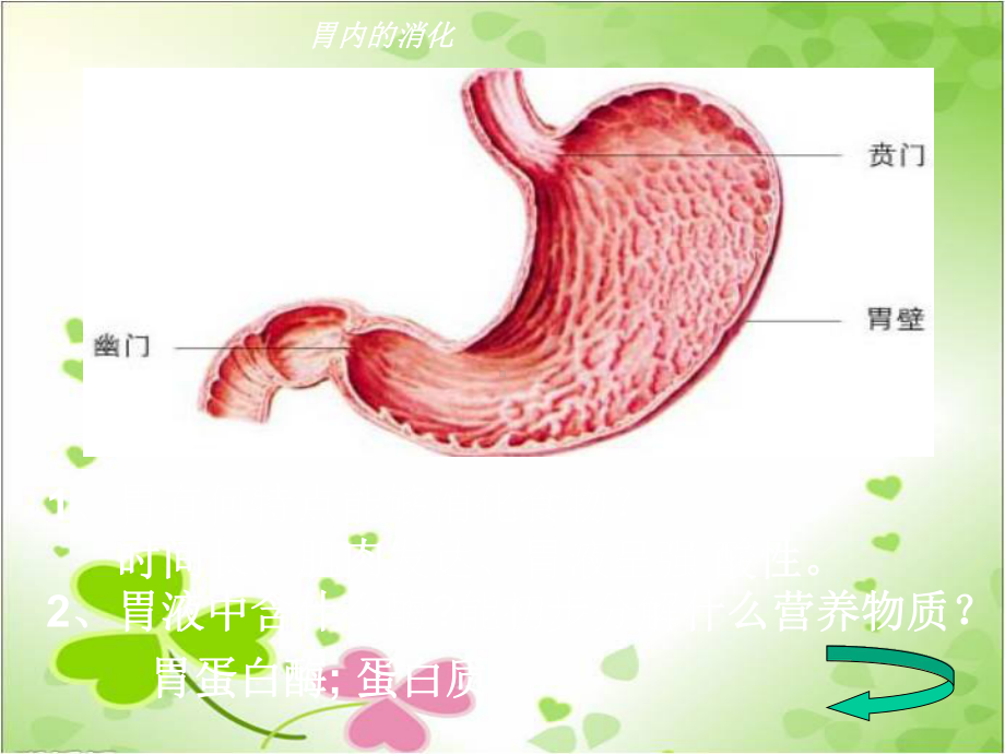 2022年冀教初中生物七下《营养物质的吸收和利用》公开课课件3.ppt_第2页