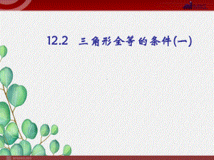 《三角形全等的条件》课件-2022年人教版省一等奖.ppt