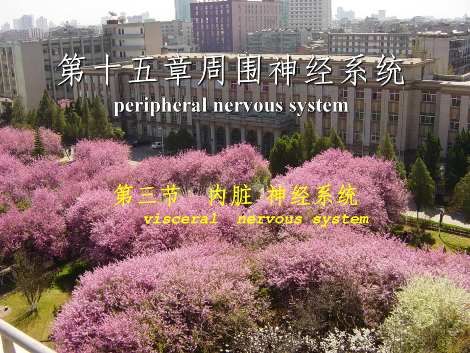 《周围植物神经》课件.ppt_第1页