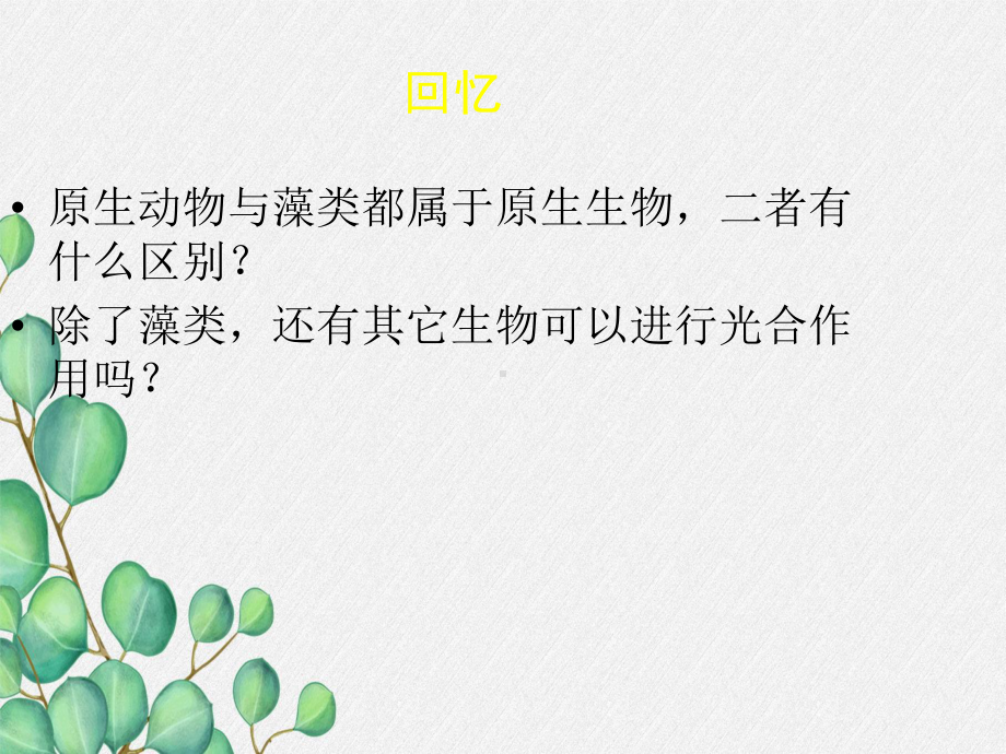 2022年北师大初中生物八年级下册《植物的主要类群》公开课课件6.ppt_第1页