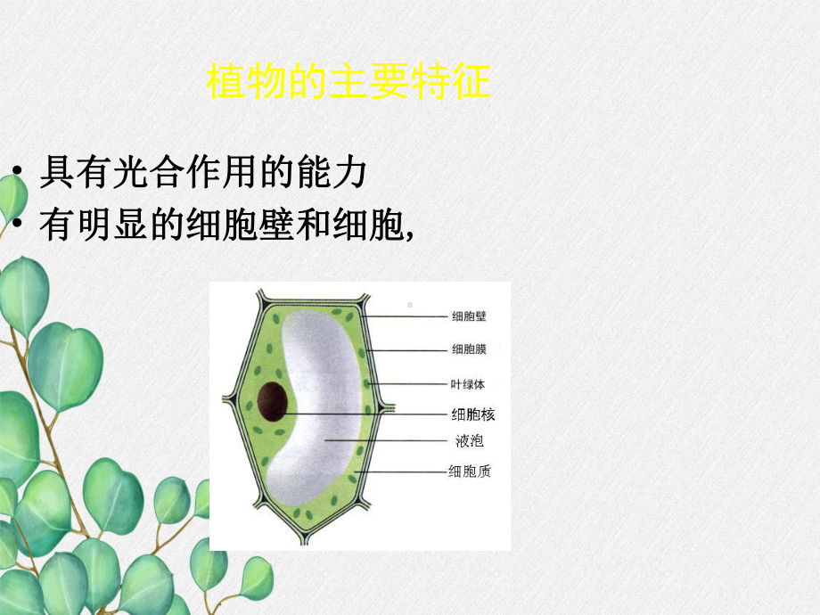 2022年北师大初中生物八年级下册《植物的主要类群》公开课课件6.ppt_第3页