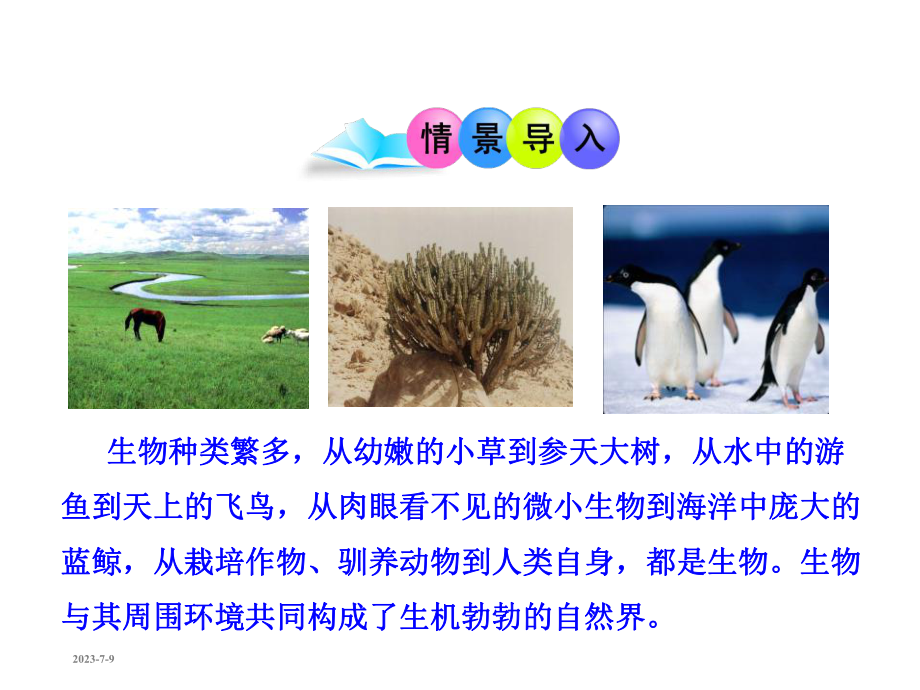 《形形色色的生物》优质课件.pptx_第2页