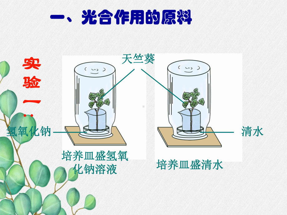 2022年冀教初中生物八上《光合作用的原料》公开课课件4.ppt_第2页