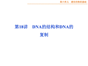 《优化方案》高考生物(苏教版)一轮配套课件：第18讲-DNA的结构和DNA的复制.ppt