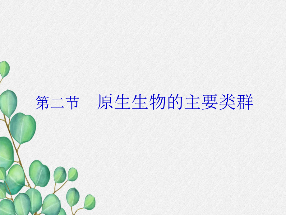 《原生生物的主要类群》课件-(优秀课获奖)2022年北师大版-7.ppt_第3页