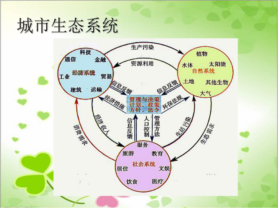 2022年北师大初中生物八年级下册《关注城市环境》公开课课件5.ppt_第3页