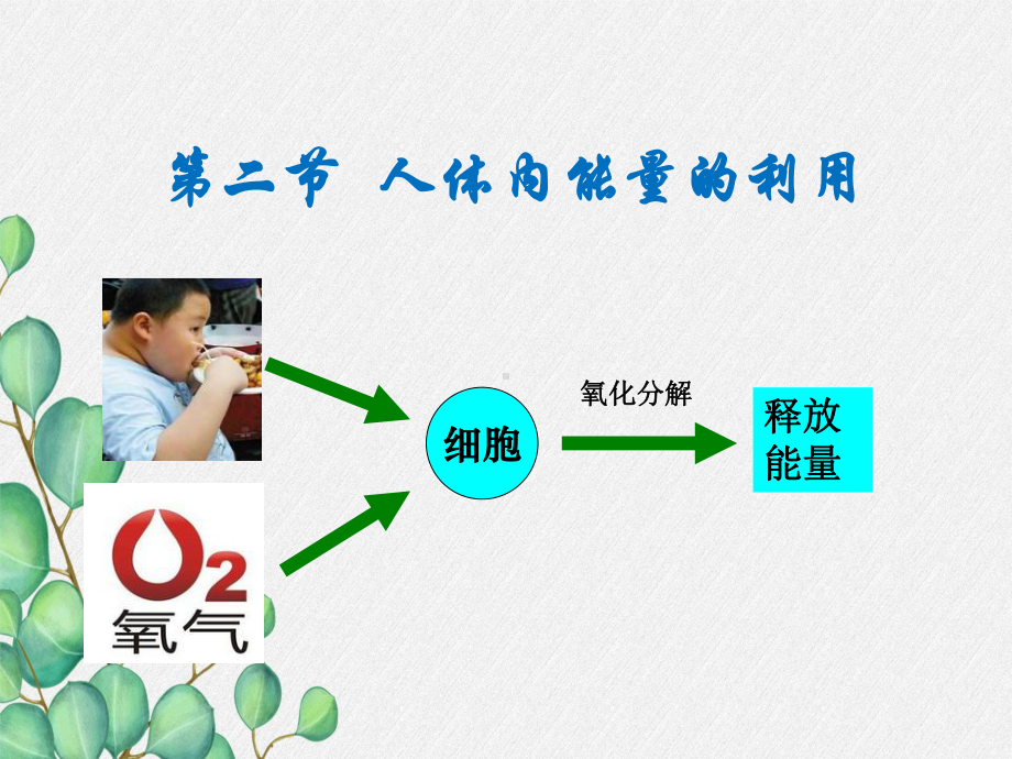 《人体内能量的利用》课件-(高效课堂)2022年济南版生物七下.pptx_第1页