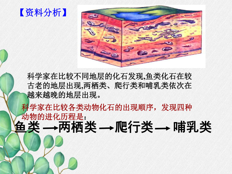 2022年济南初中生物八下《生物进化的历程》公开课课件14.ppt_第2页