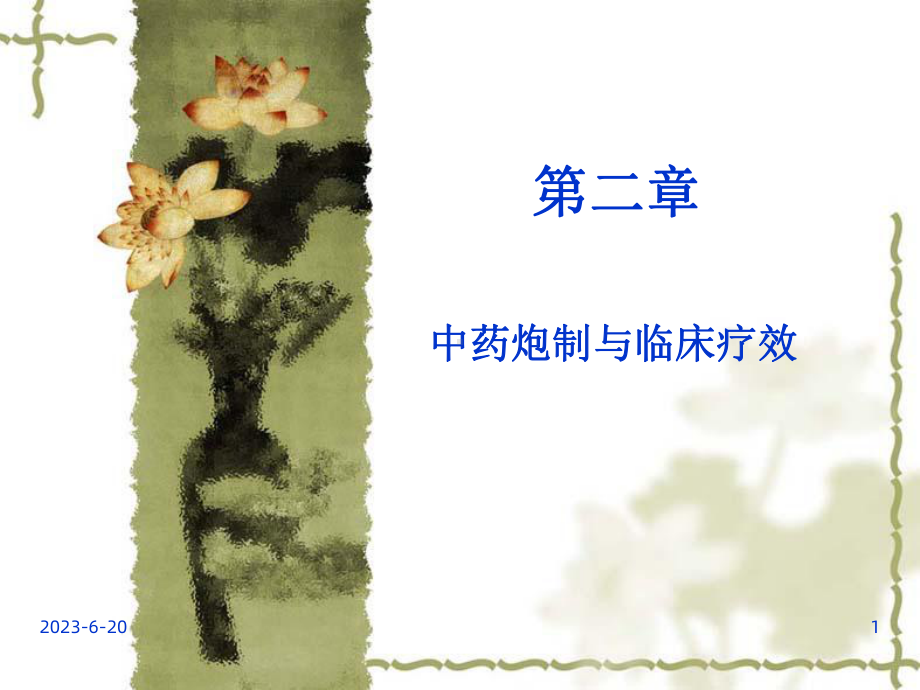 《中药炮制学》课件.ppt_第1页