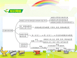 2022年冀教初中生物七上《生物体的结构层次》公开课课件.ppt