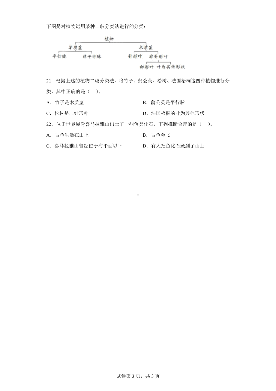 2.3.形形色色的植物同步练习（含答案）-2023新教科版六年级下册《科学》.docx_第3页