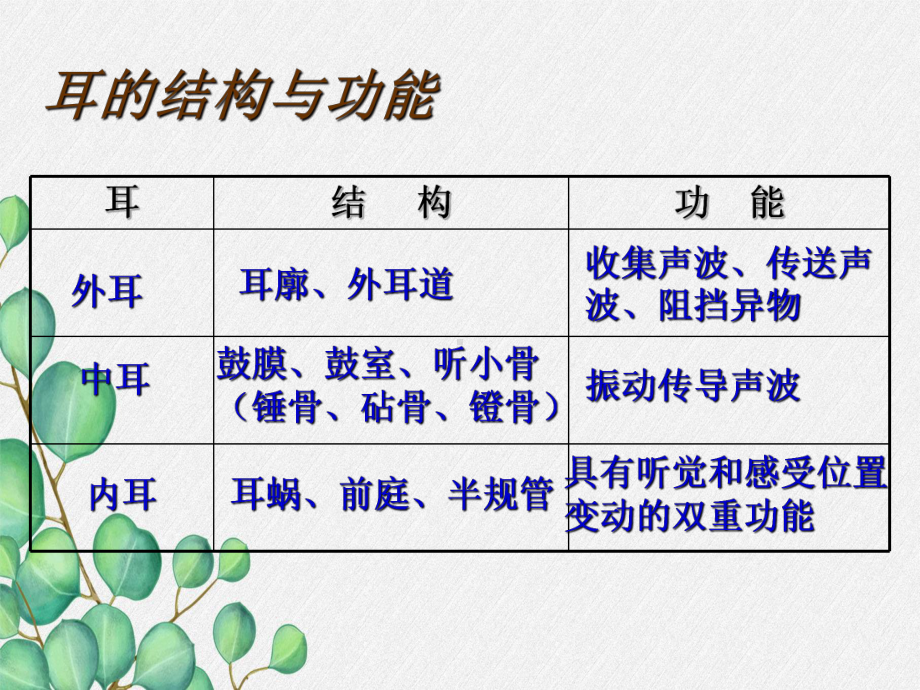 2022年北师大初中生物七年级下册《感受器和感觉器官》公开课课件2.ppt_第3页