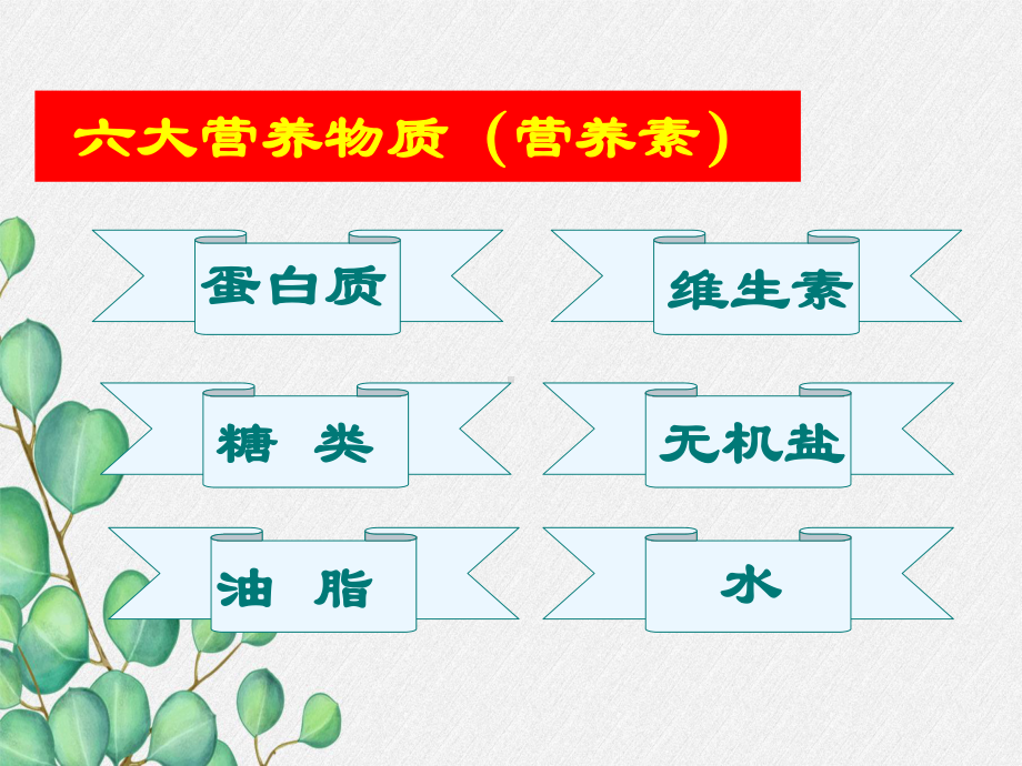 《人类重要的营养物质》课件(公开课)2022年人教版-(20).ppt_第2页