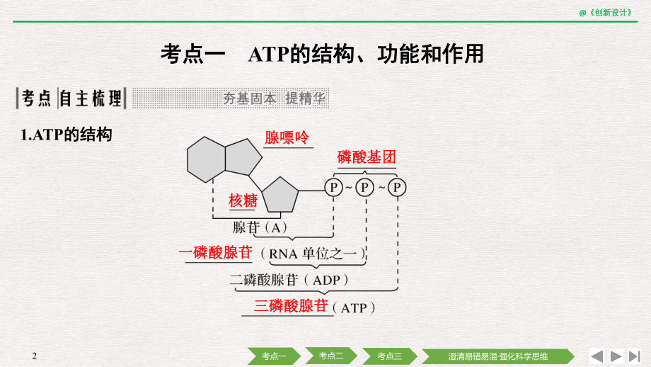 2021年生物高考总复习必修一-第三单元-第8讲(北师大版)课件.pptx_第2页