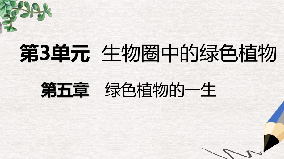 七年级生物上册第三单元第五章第二节植物根的生长课件新版苏教版.ppt_第1页