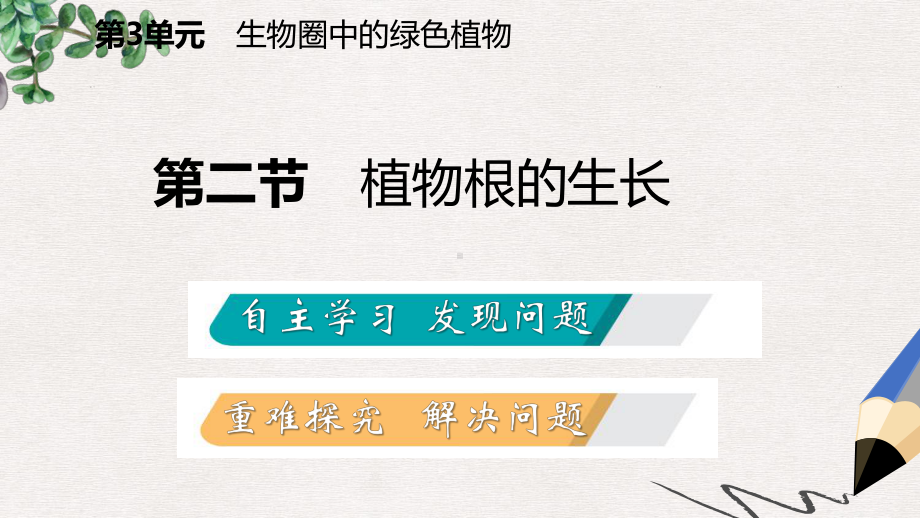 七年级生物上册第三单元第五章第二节植物根的生长课件新版苏教版.ppt_第2页